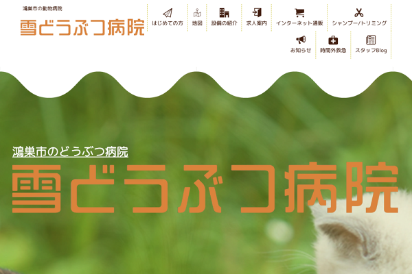 雪どうぶつ病院
