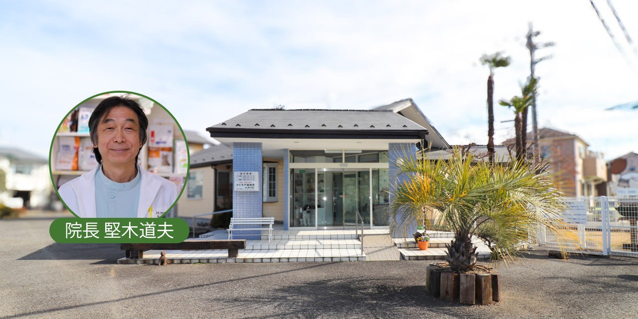 かたぎ犬猫病院