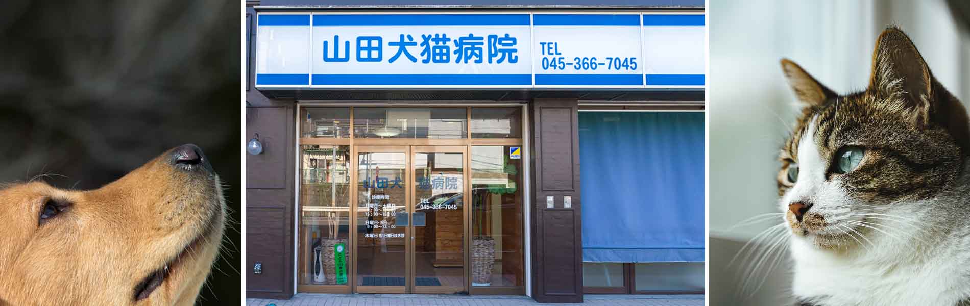 山田犬猫病院