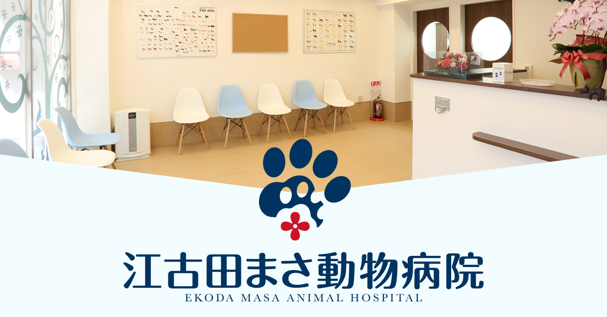 江古田まさ動物病院