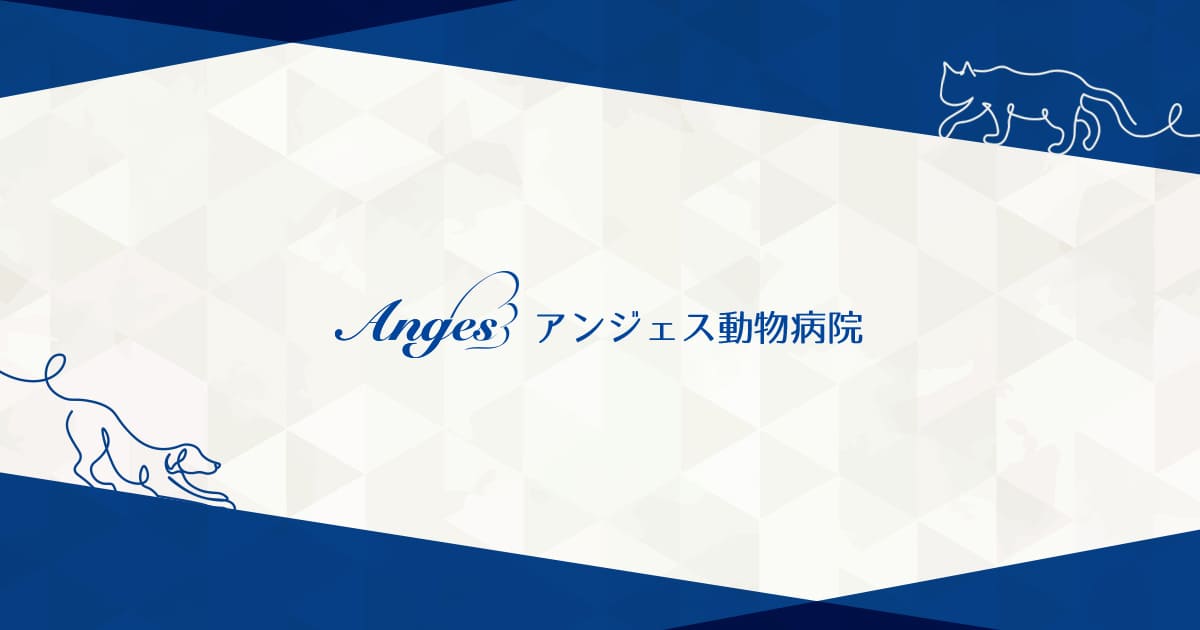 アンジェス動物病院
