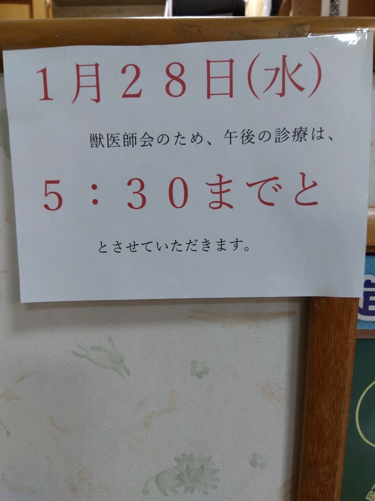 鳥が丘犬猫病院