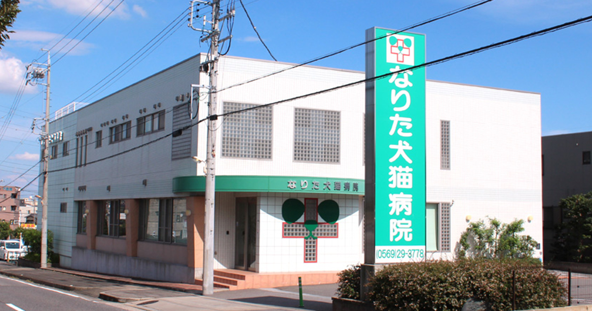 なりた犬猫病院