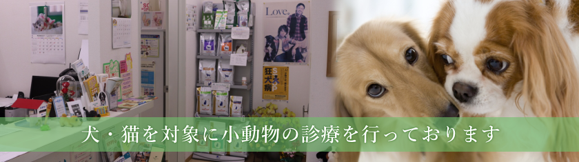 かなどう動物病院