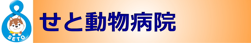せと動物病院