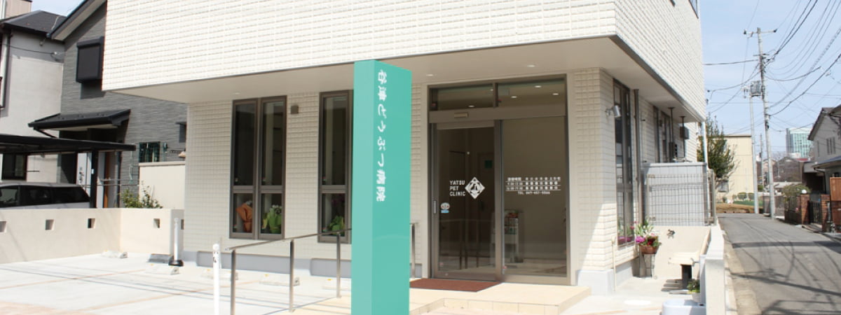 谷津どうぶつ病院