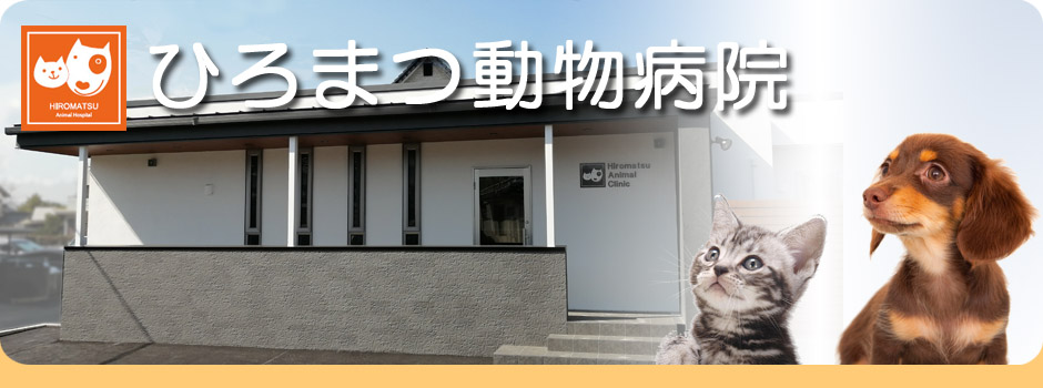 ひろまつ動物病院