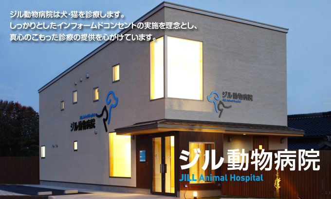 ジル動物病院
