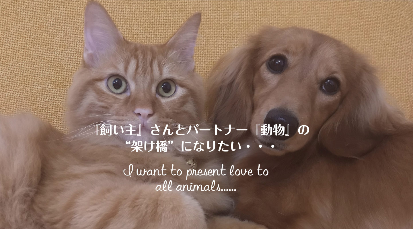 ル・オーナペットクリニック