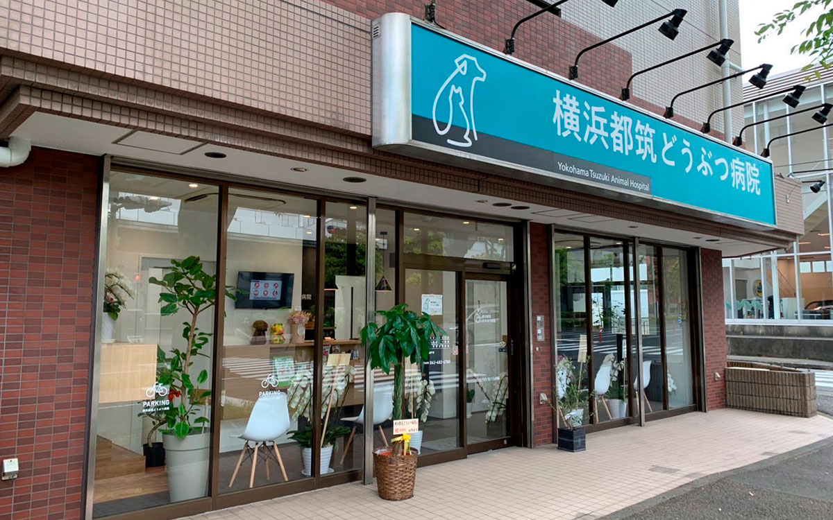 横浜都筑どうぶつ病院