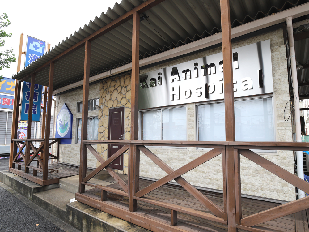 海動物病院 足立医院