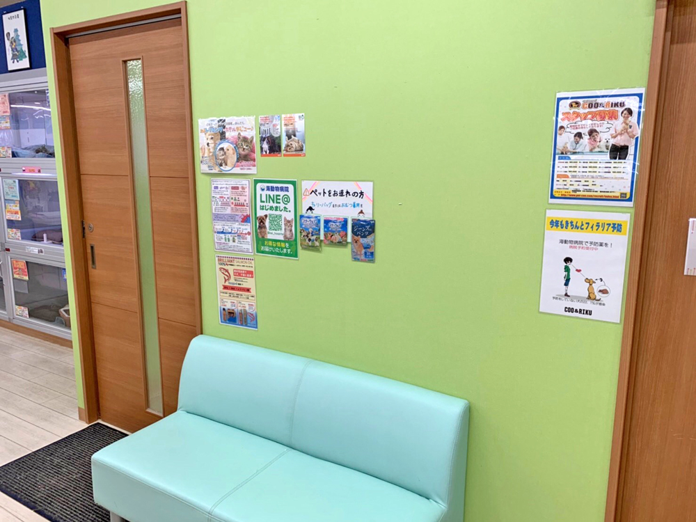 海動物病院　カリーノ玉名店往診所