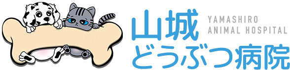山城動物病院