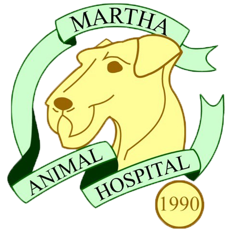 マーサ動物病院 本院