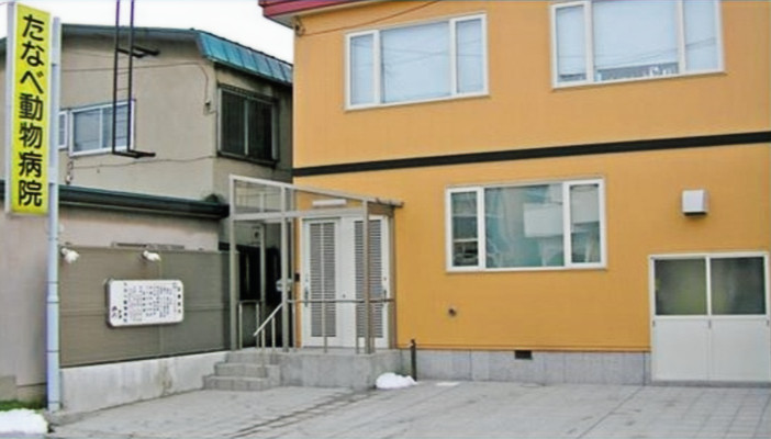 たなべ動物病院