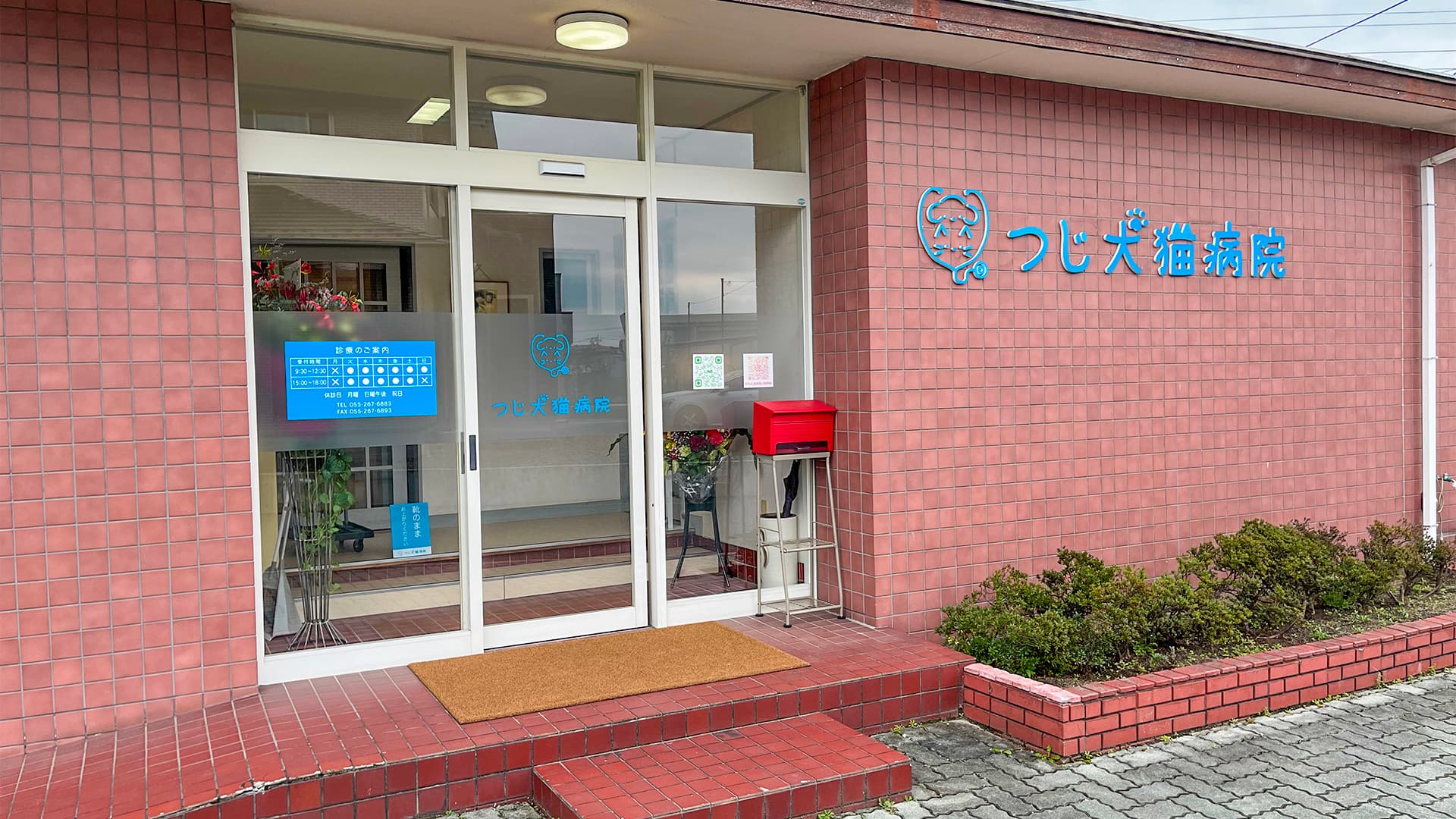 つじ犬猫病院