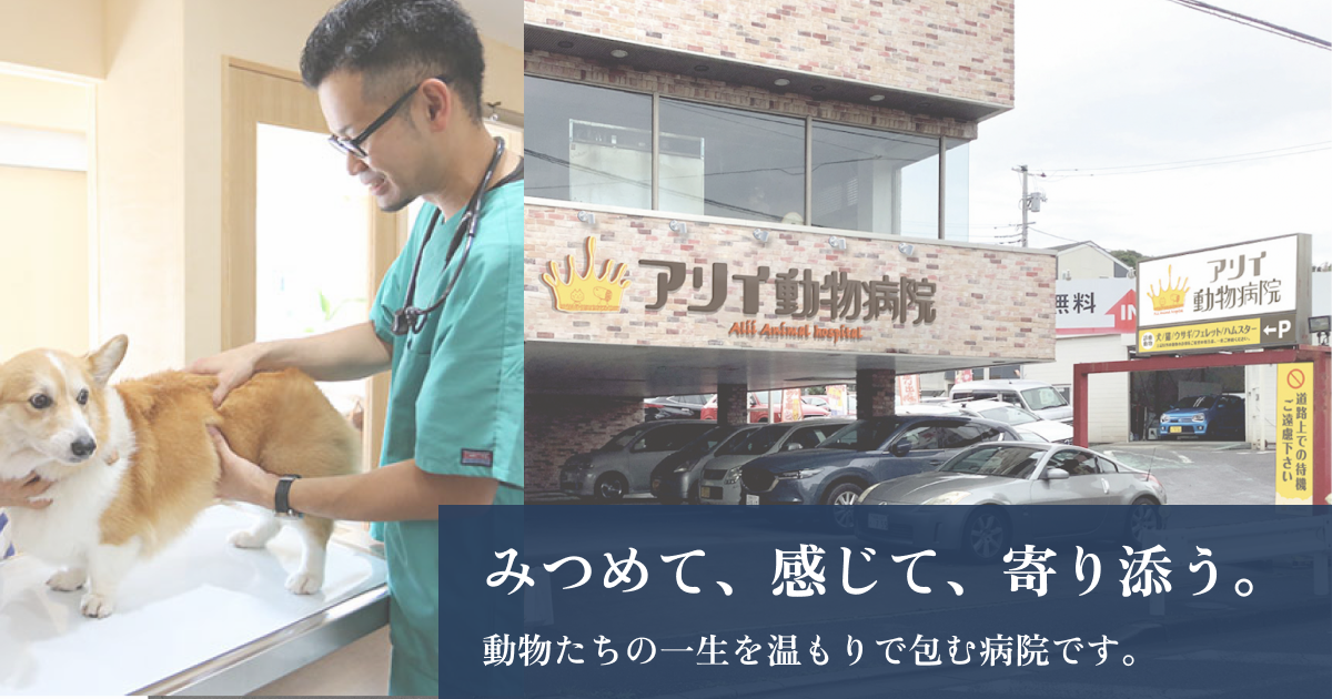 アリイ動物病院