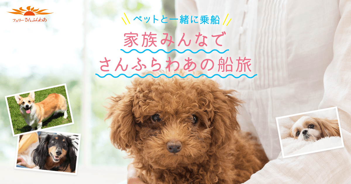 フェリーさんふらわあ ごーるど／ぱーる（神戸港）