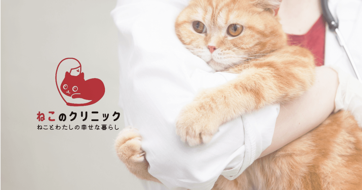 ねこのクリニック浦和（猫専門動物病院）