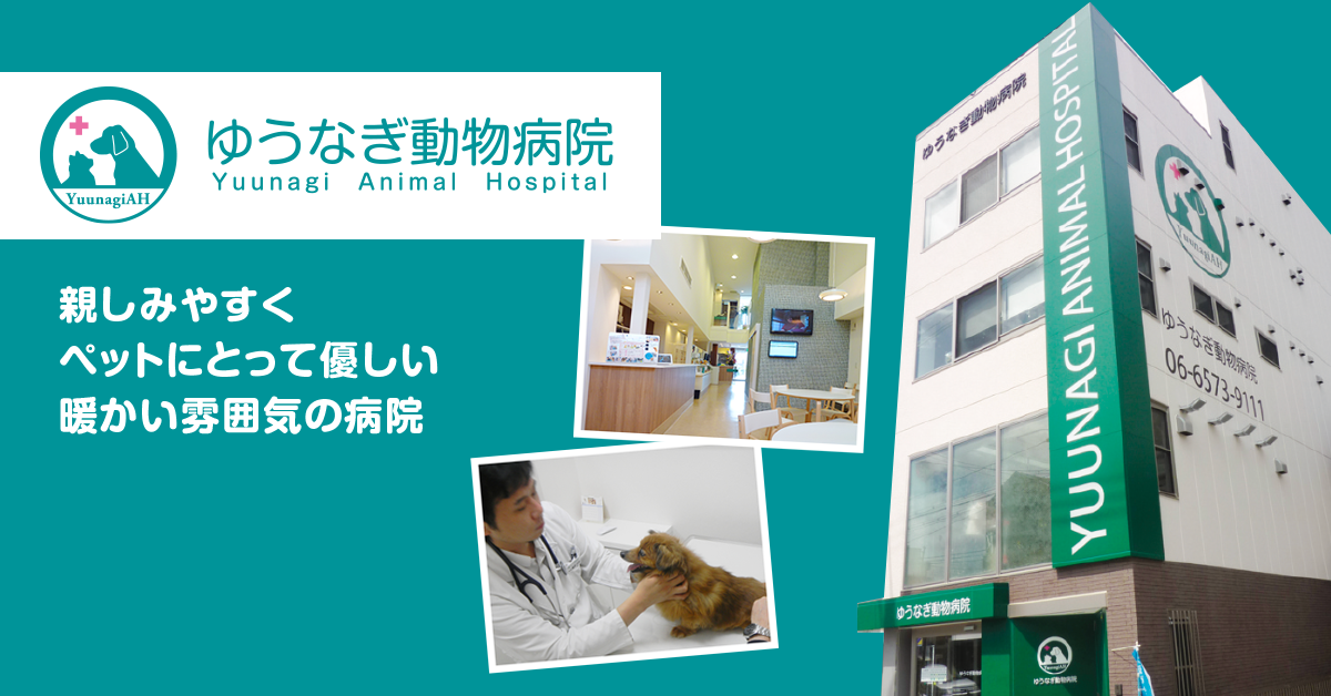 ゆうなぎ動物病院