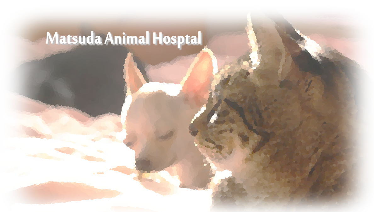 松田動物病院