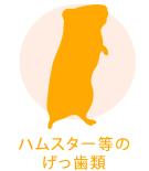 きどう動物病院