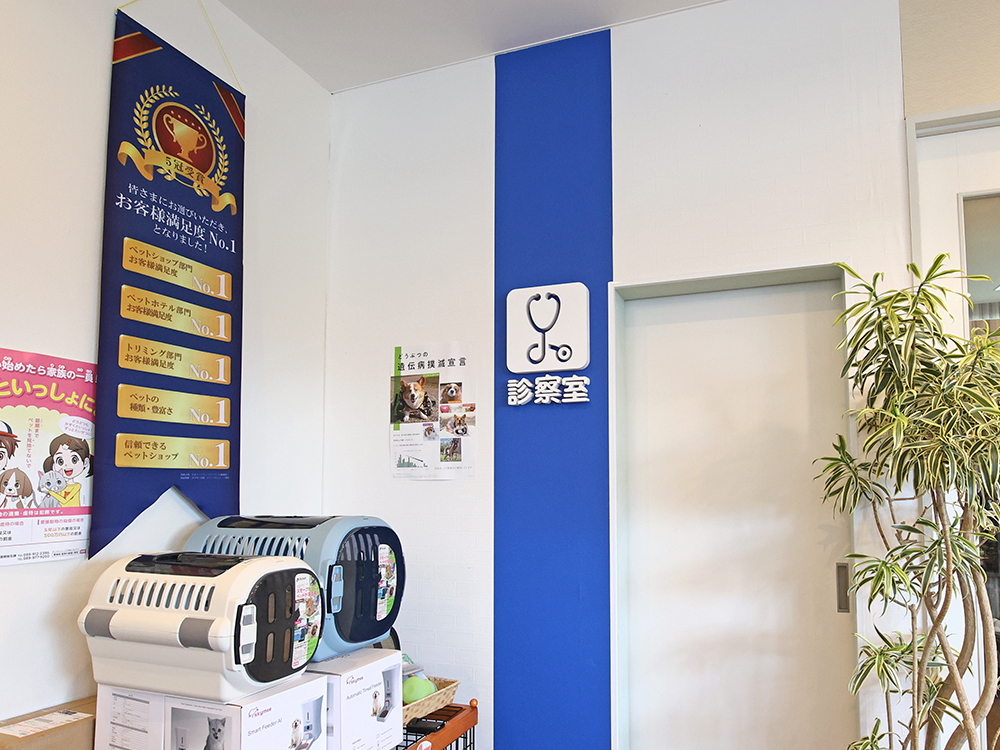 海動物病院　愛媛松山往診所