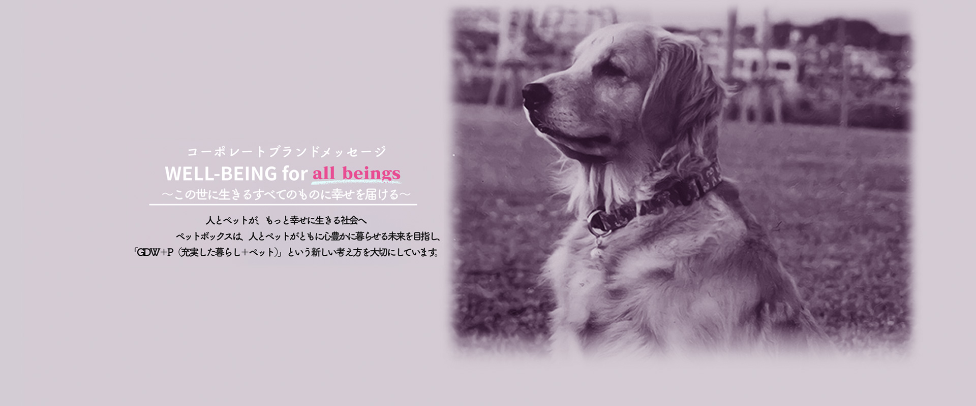 ペットボックス北谷店