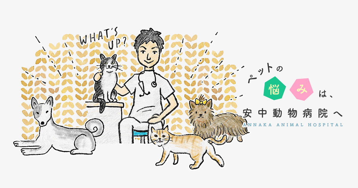安中動物病院