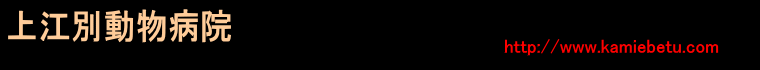 上江別動物病院