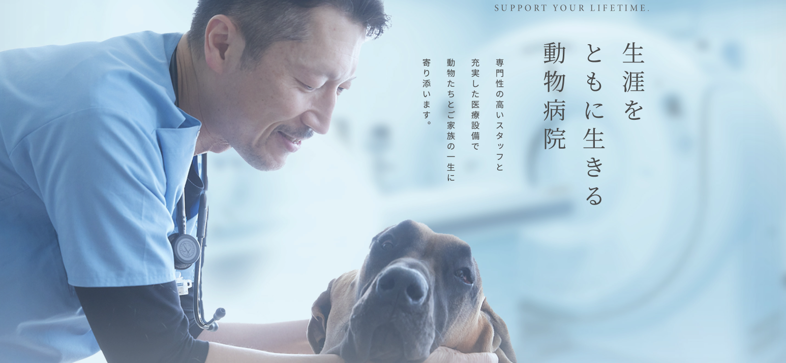 福岡中央動物病院