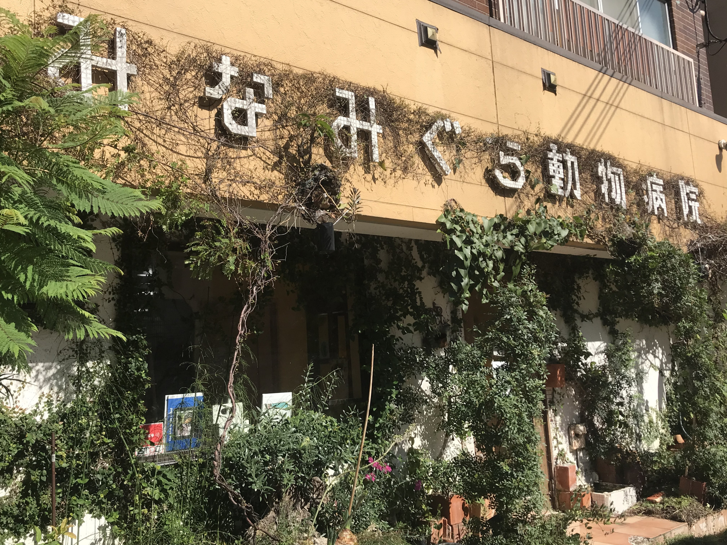 みなみぐち動物病院