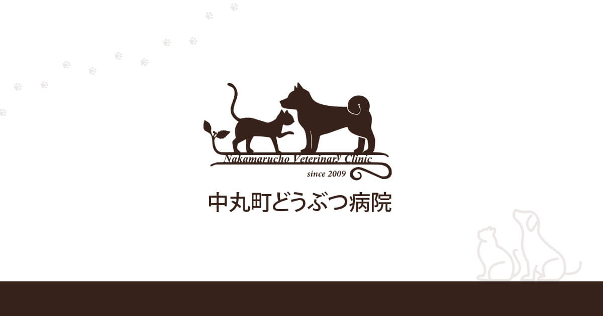 中丸町どうぶつ病院