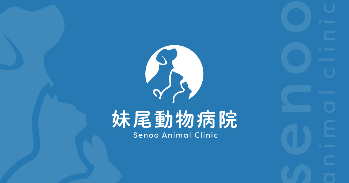 妹尾動物病院