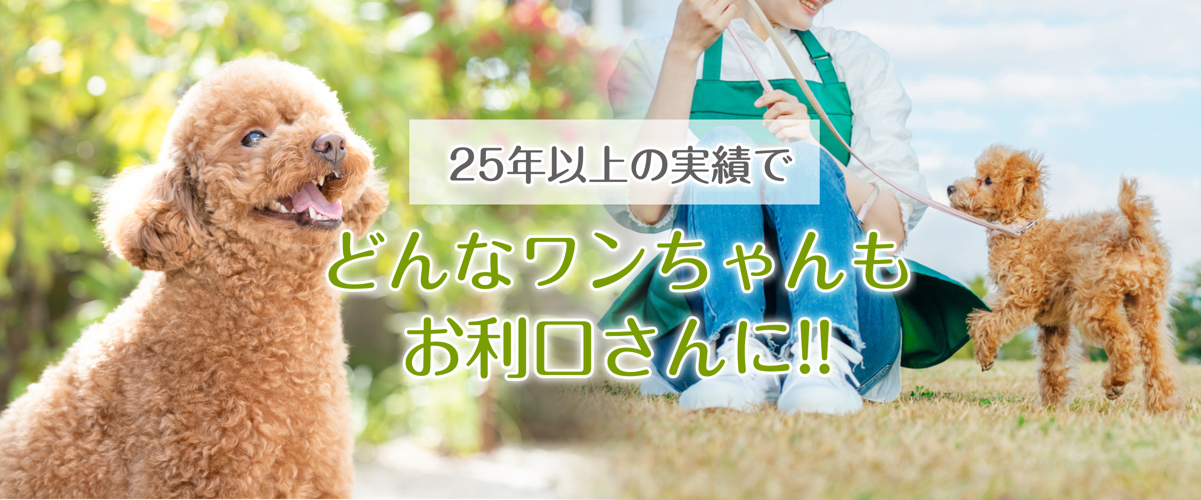 ドッグトレーニング　ミヤコシ