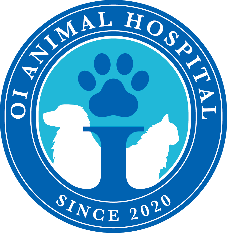 おおい動物病院