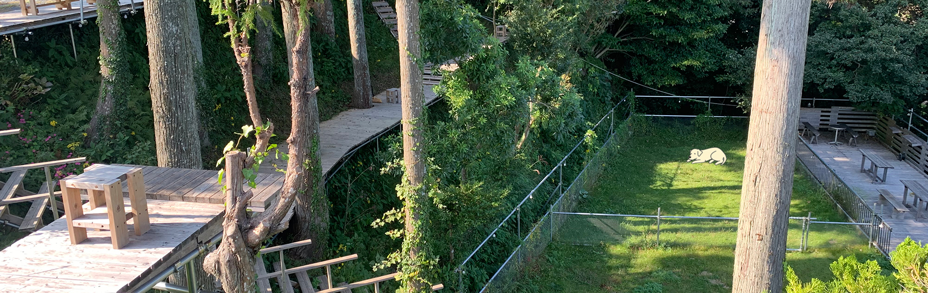 とみの動物病院