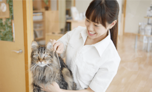 トリミングサロン アラモード　柏店