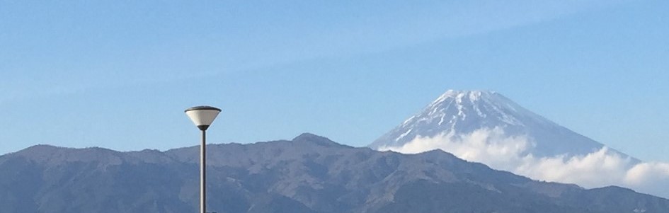 広小路動物病院