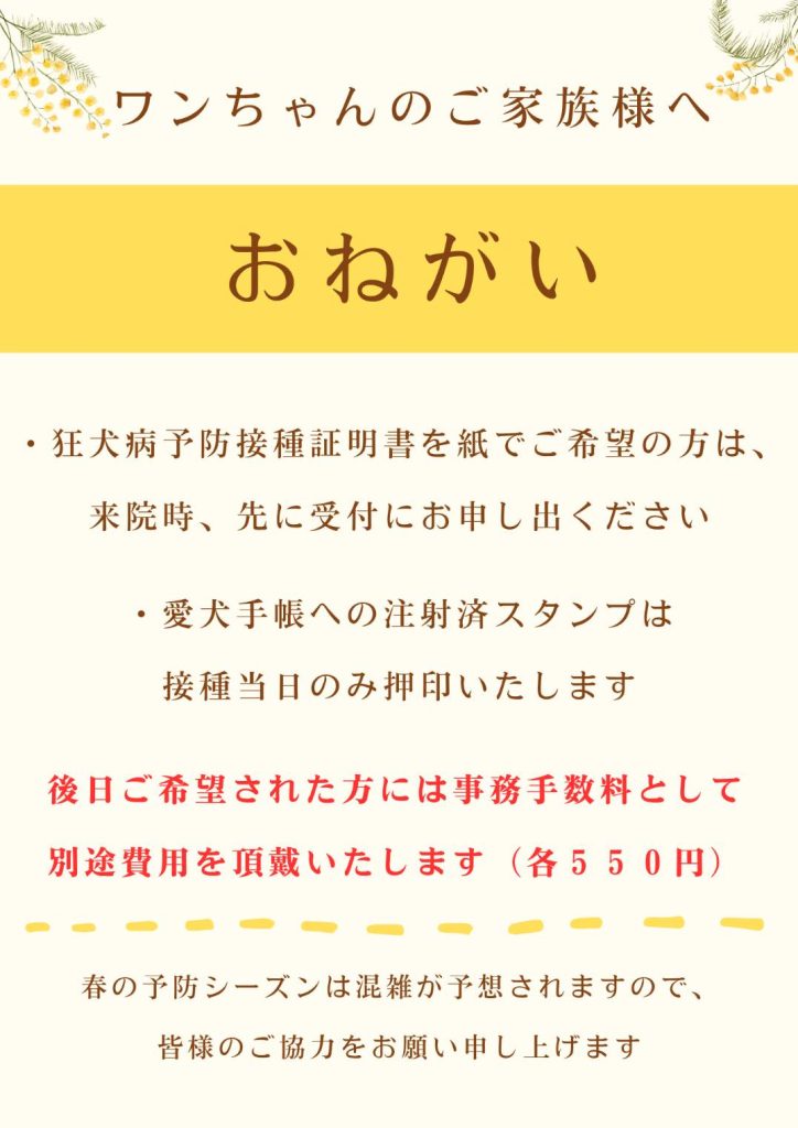 こゆるぎ海岸どうぶつ病院