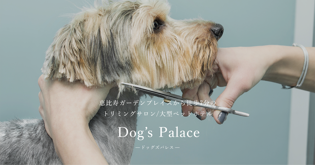 ドッグズパレスクリニック