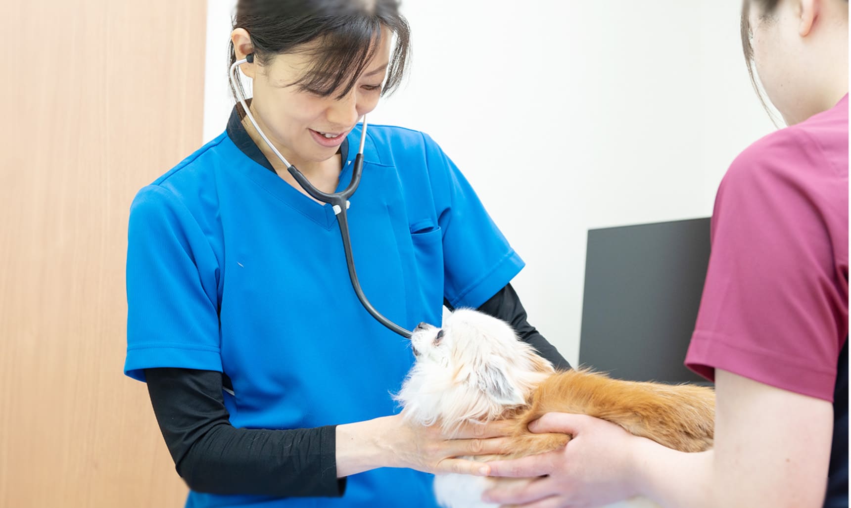 府中もも動物病院