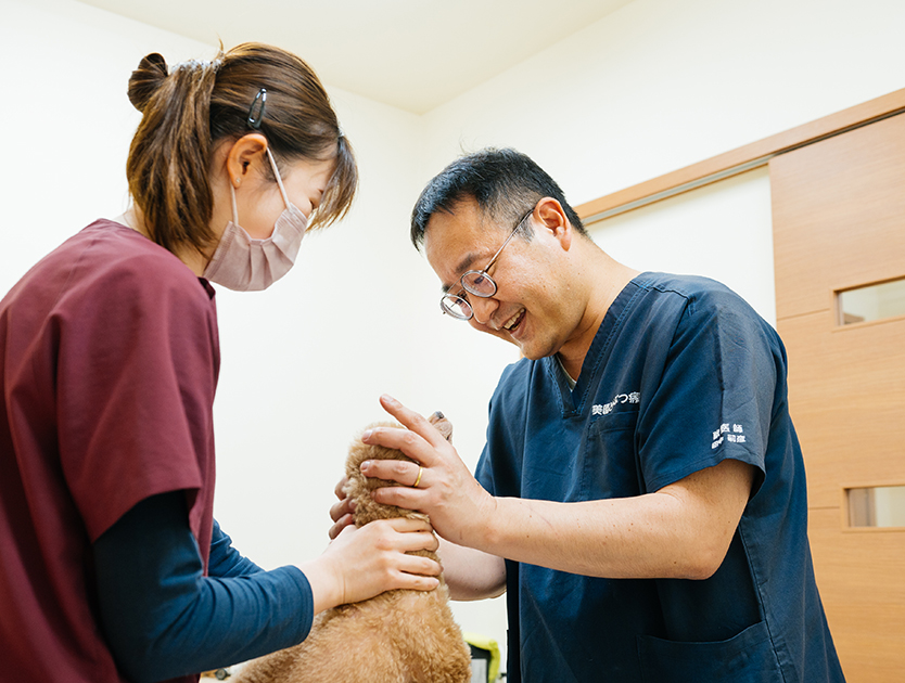 美園どうぶつ病院