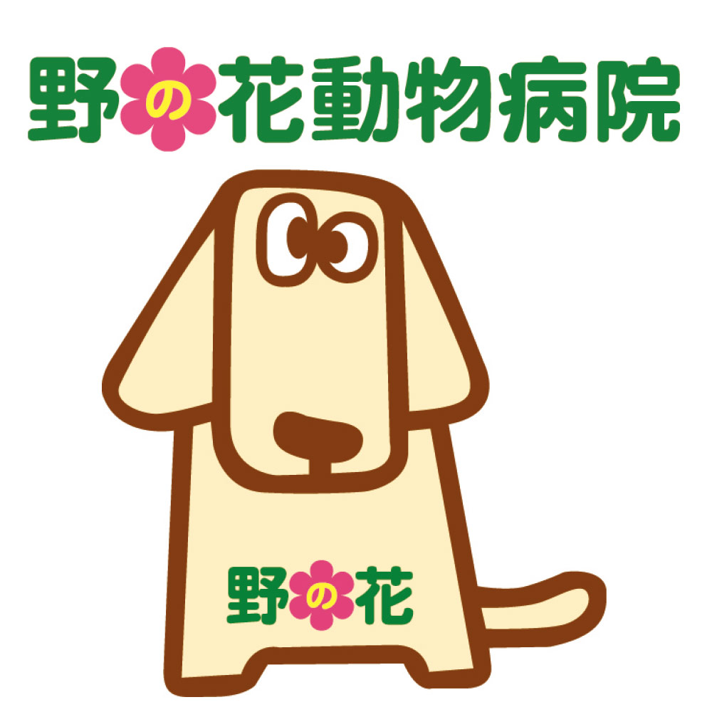 野の花動物病院
