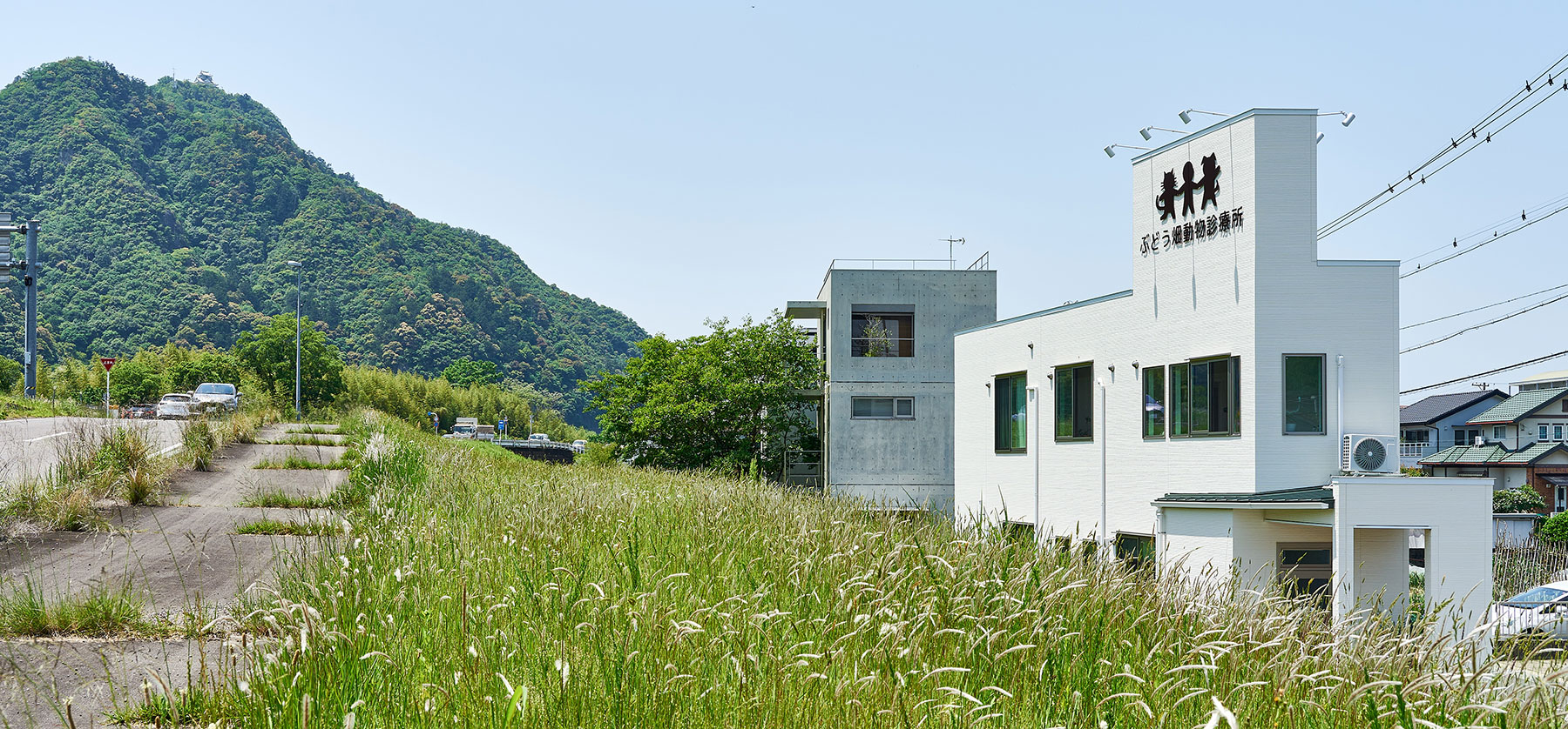 ぶどう畑動物診療所