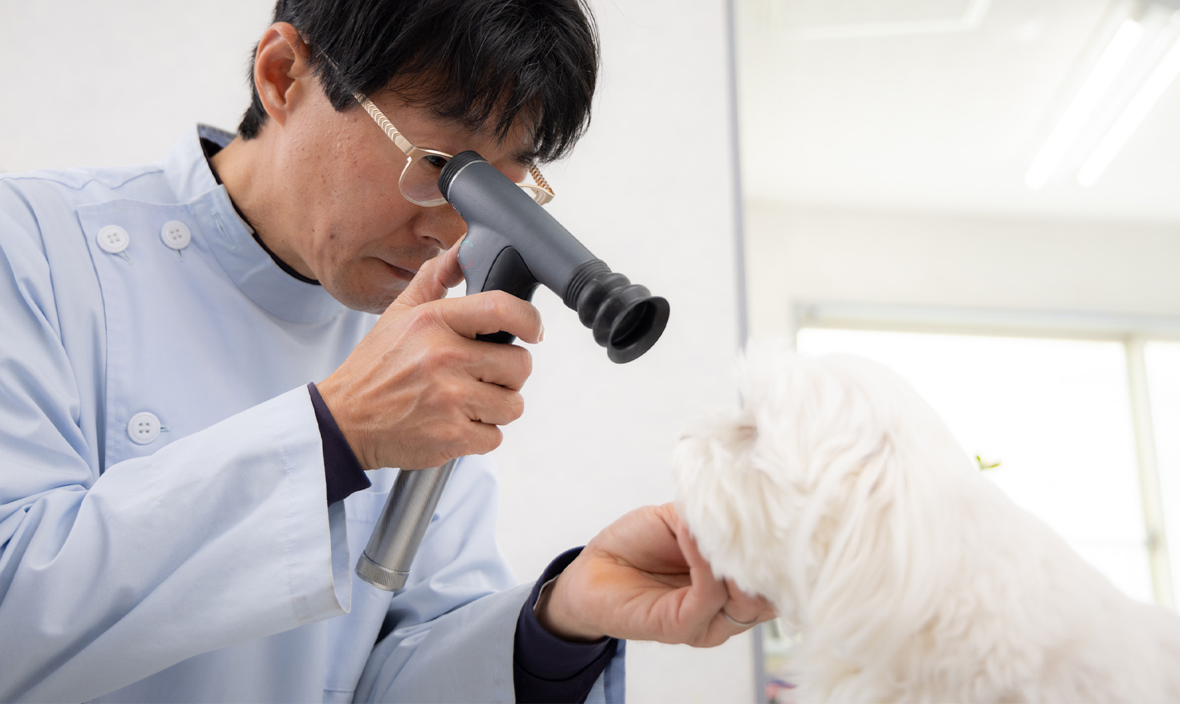 アテナ動物病院