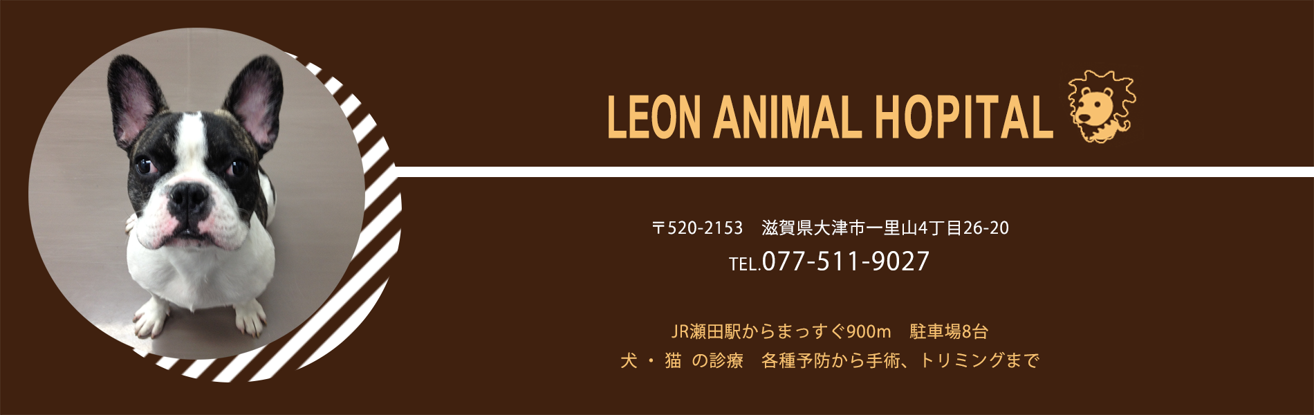 レオン動物病院