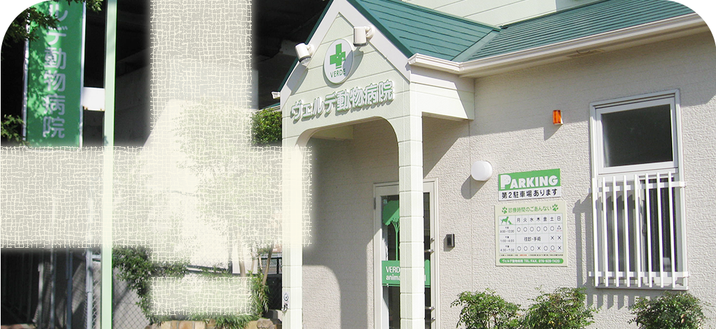 ヴェルデ動物病院