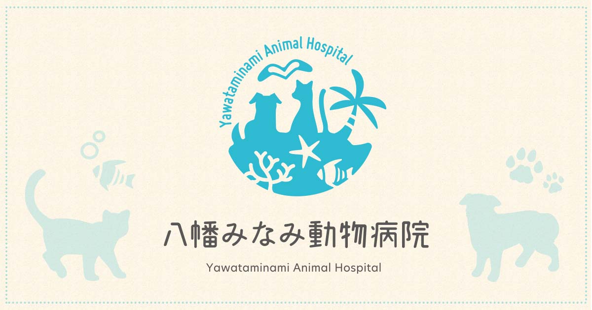 八幡みなみ動物病院