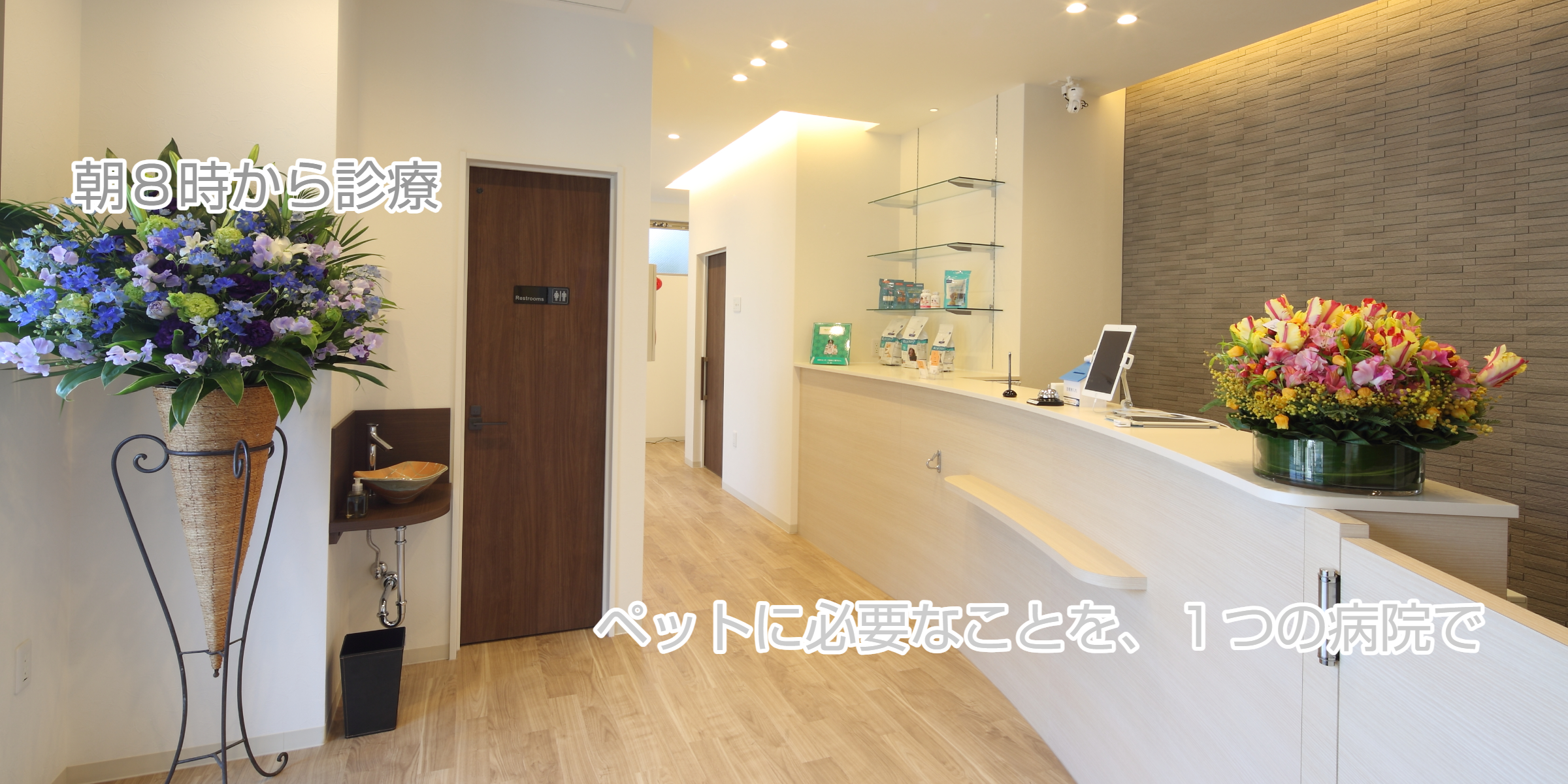 モアフル動物病院